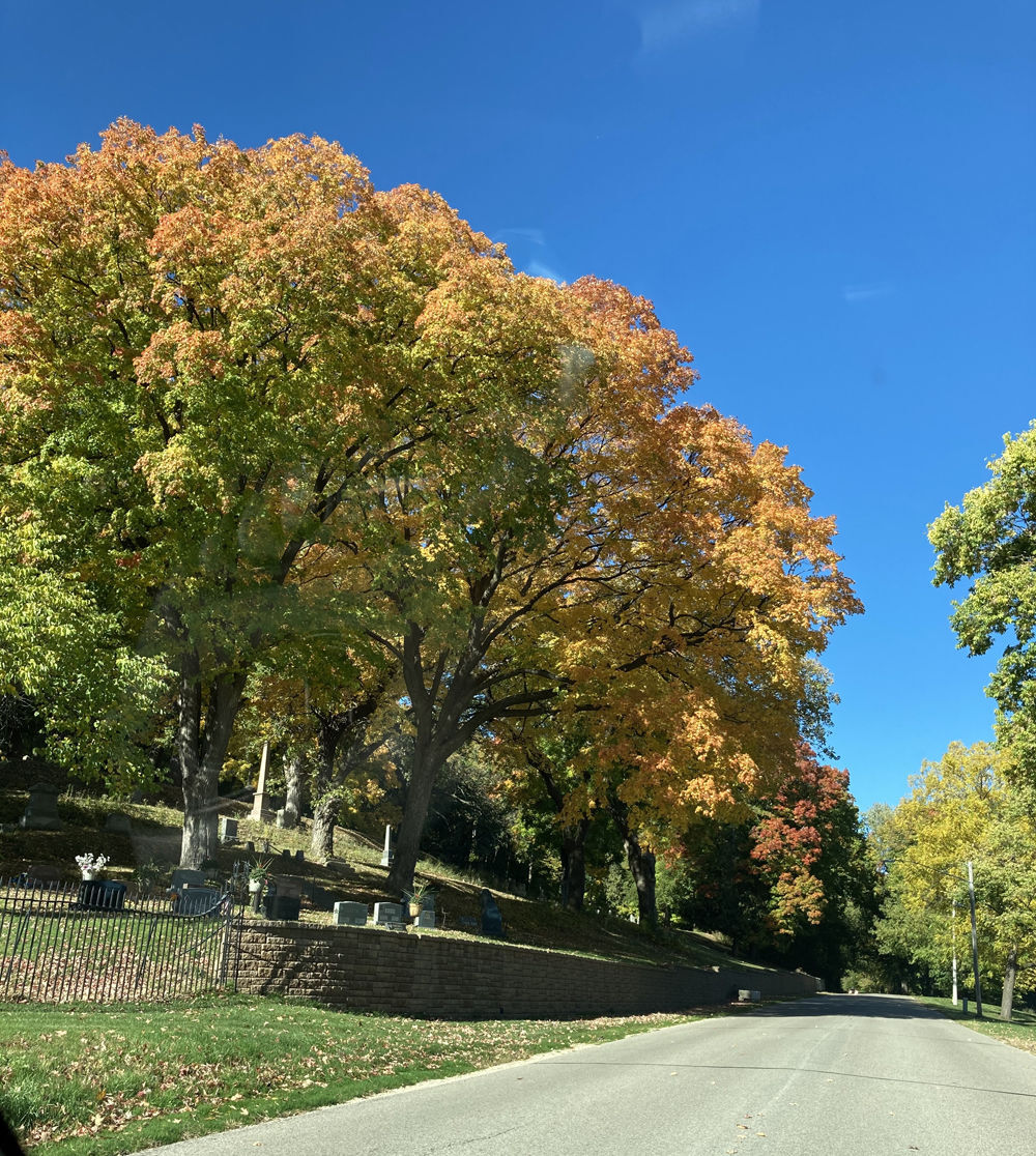 Woodlawn Cemetery, Winona